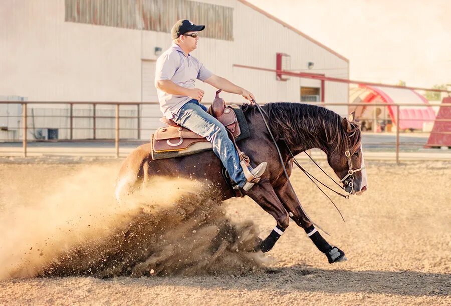 Вестерн спорт. Вестерн конный. Вестерн конный спорт. Верховая езда в стиле вестерн. Стиль езды на лошади вестерн.