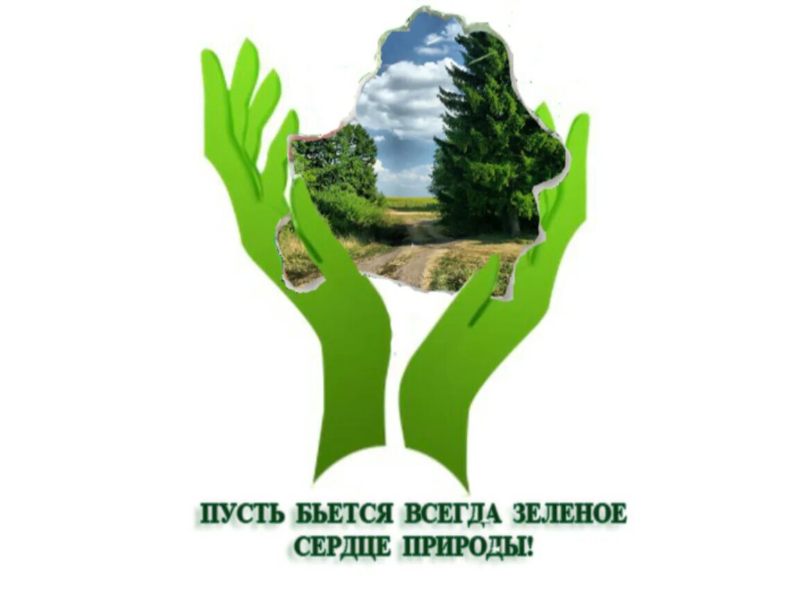 Сохрани жизнь дереву