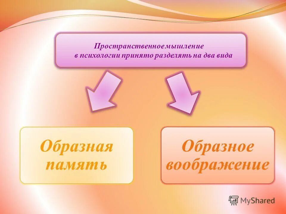 Деятельность принято разделять на. Деятельность принято разделять на