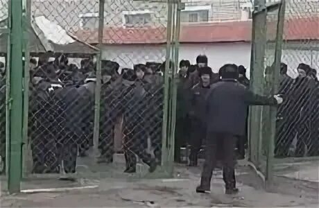 Удо на принудительных