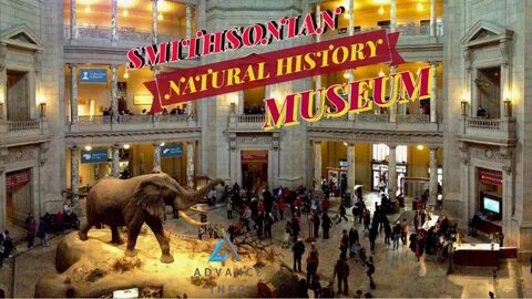 But at the museum