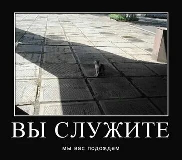 Вы служите мы вас подождем фабрика