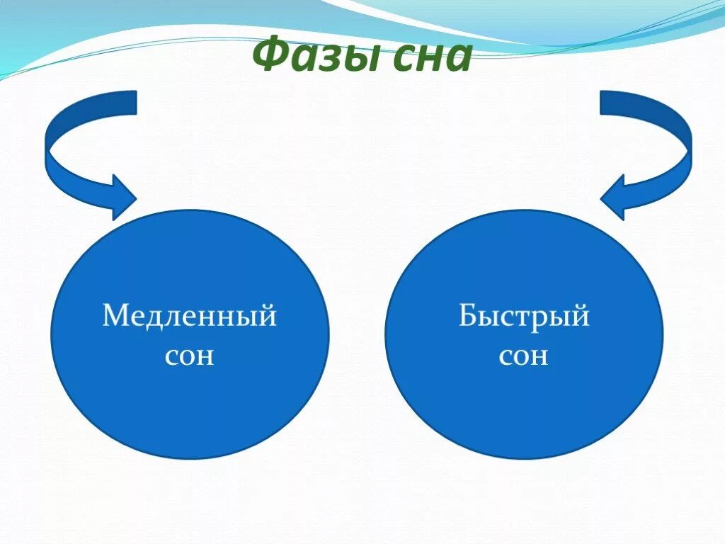 Сон человека медленный и быстрый. Фазы сна. Этапы медленного сна. Медленный сон. Медленная и быстрая фазы СН.