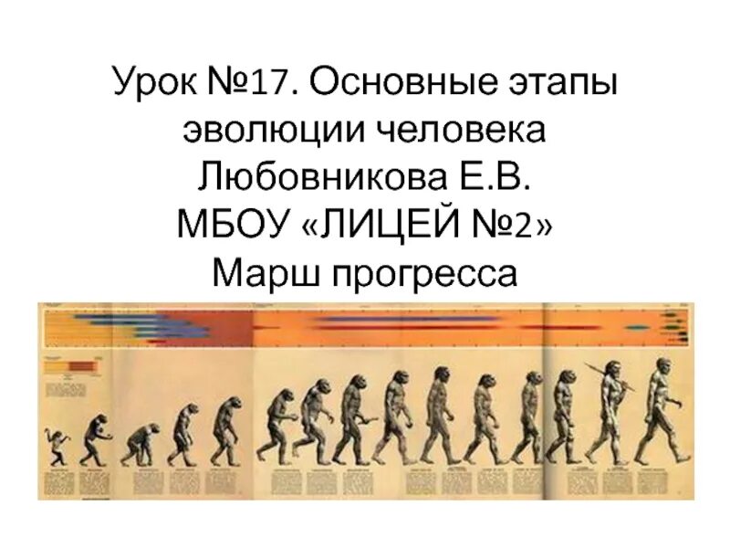 Эволюция человеческой расы. Этапы развития человека. Эволюция рас человека. Эволюция человека человеческие расы. Эволюция человека росты.
