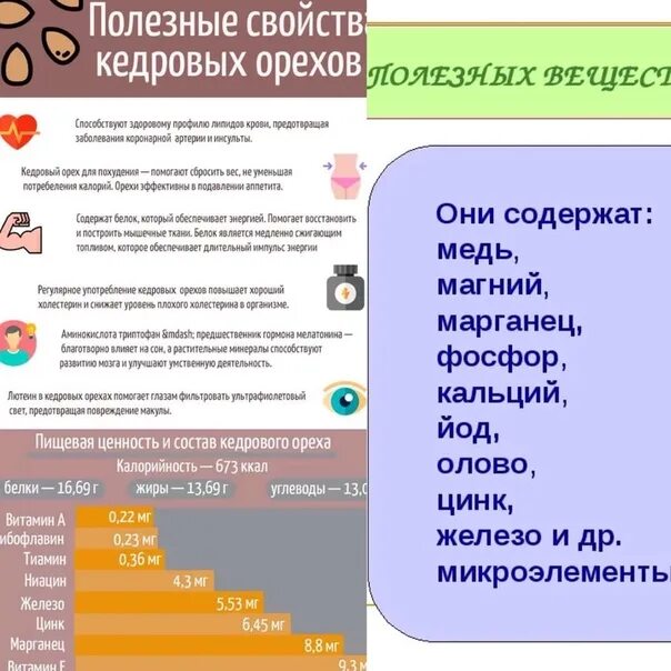 Польза кедровых орехов для мужчин. Полезные свойства кедровых орехов. Кедровый орех полезные свойства. Польза кедровых орехов. Кедровые орешки полезные свойства.