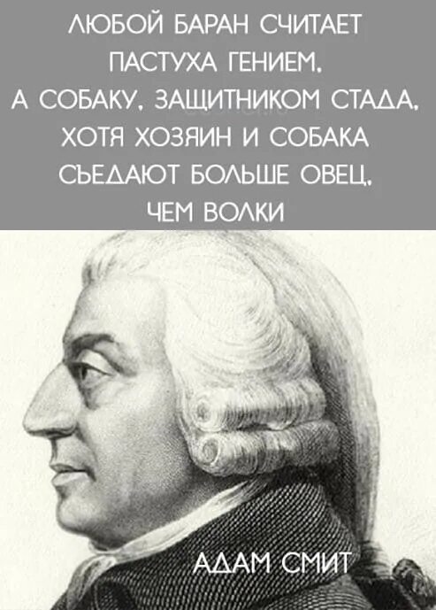 Всю жизнь овца волков. Smith Adam "Wealth of Nations". Овца всю жизнь боялась волка. Овца боялась волка а съел. Любой баран считает.