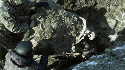 Генезис 2.0
