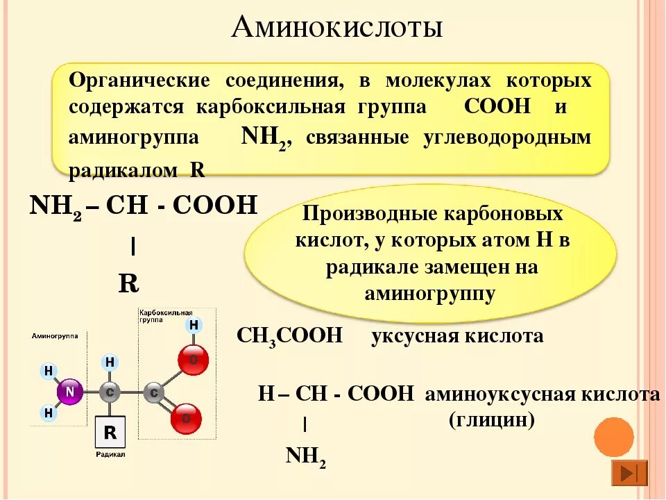 Какая группа веществ относится к органическим. Аминокислоты органическая химия. Строение аминокислоты 10 класс. Химические свойства аминокислот 10 класс Габриелян. Аминокислоты химия 10.