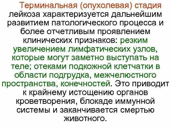 Терминальная стадия онкологических. Терминальная фаза лейкоза. лейкемия в терминальной стадии. терминальная стадия заболевания это. терминальная стадия лейкоза фото.
