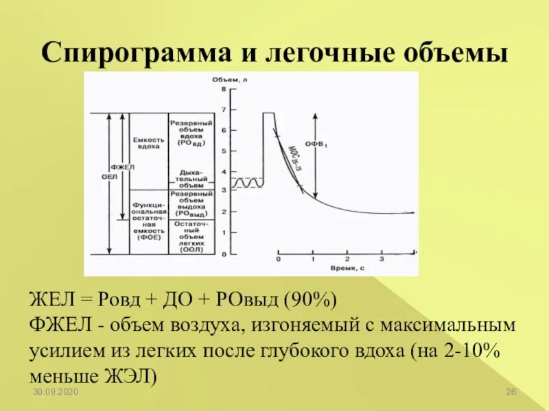 Данные спирографии
