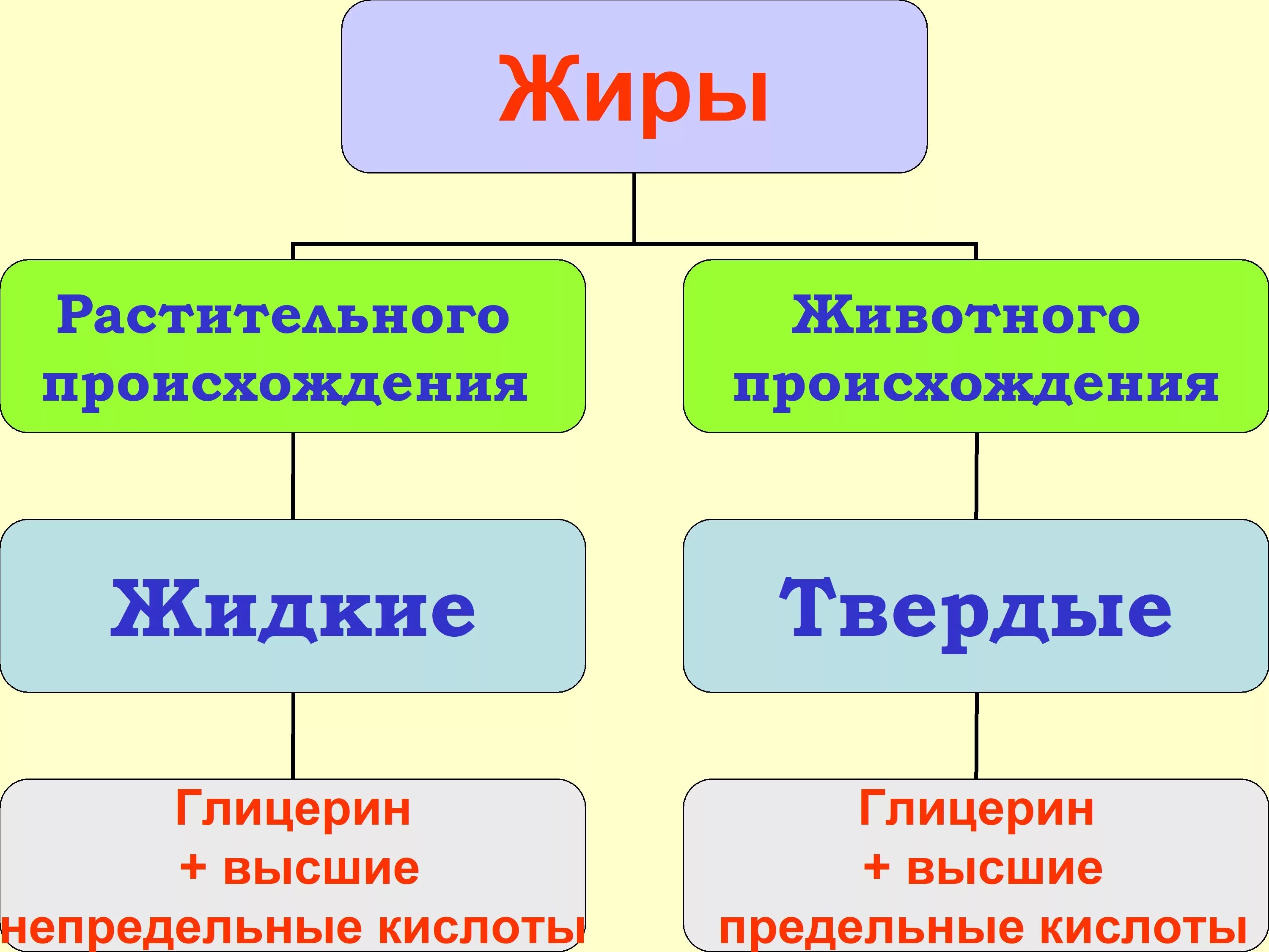 Примеры растительных жиров. Жиры животного и растительного происхождения. Растительные и животные жиры. Классификация жиров. Твердый жир растительного происхождения.