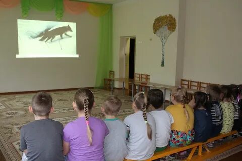 Мадоу 7