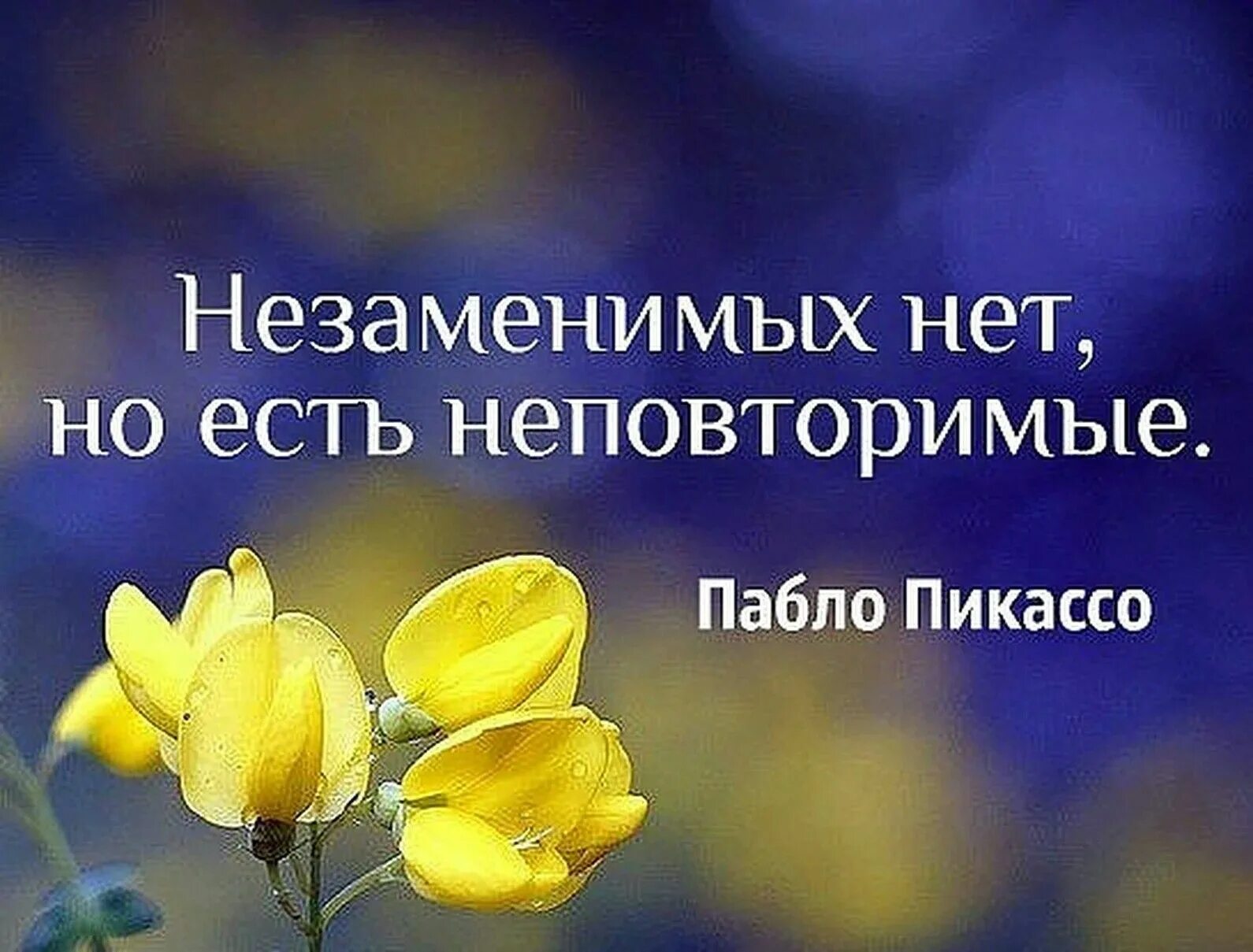 Незаменимых нет но есть неповторимые. Незаменимых людей нет есть неповторимые. Незаменимых нет цитаты. Незаменимых нет цитаты. Незаменимых нет но есть неповторимые.