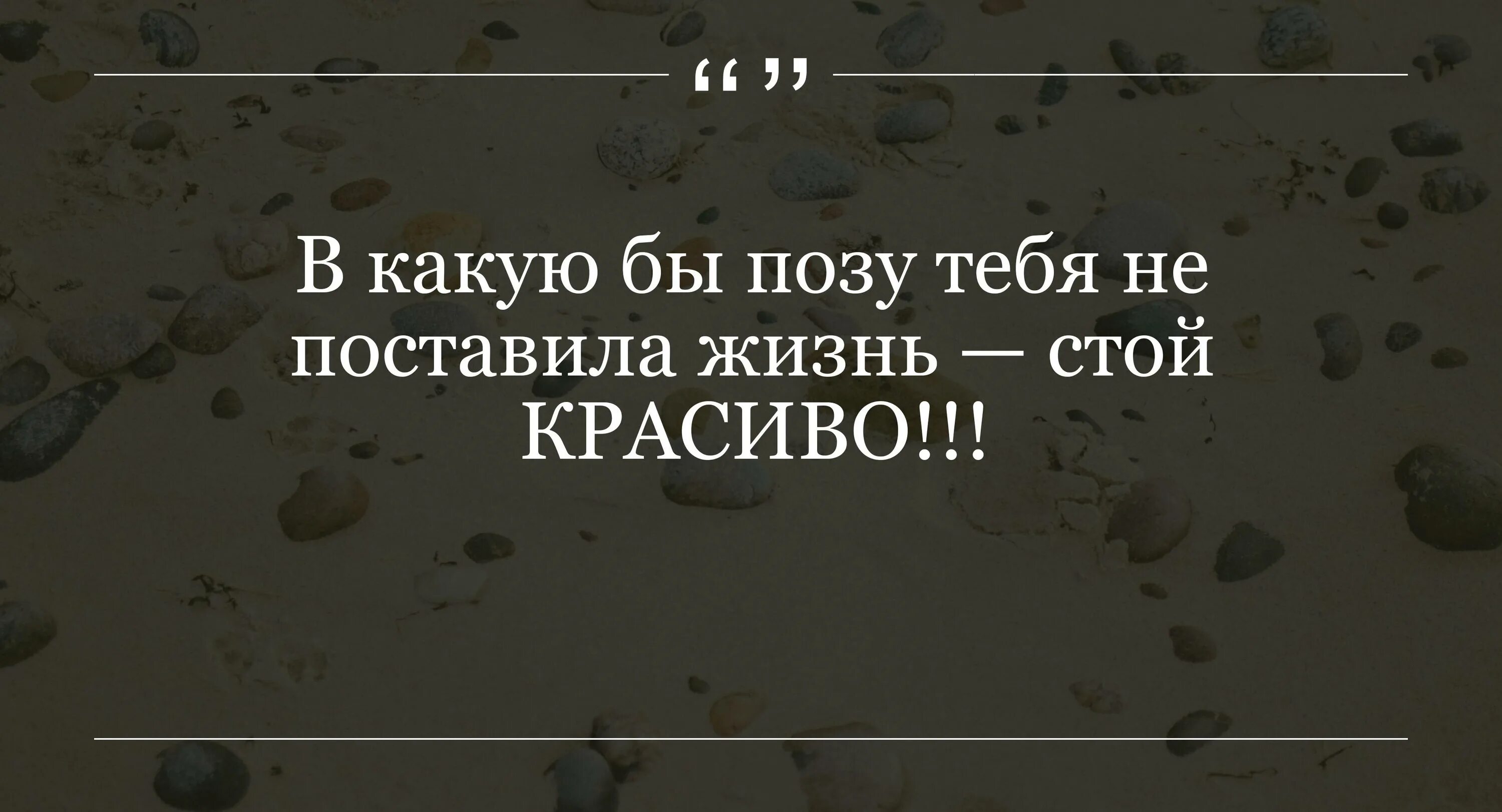 В какую бы позу не поставил. В какую бы позу не поставил
