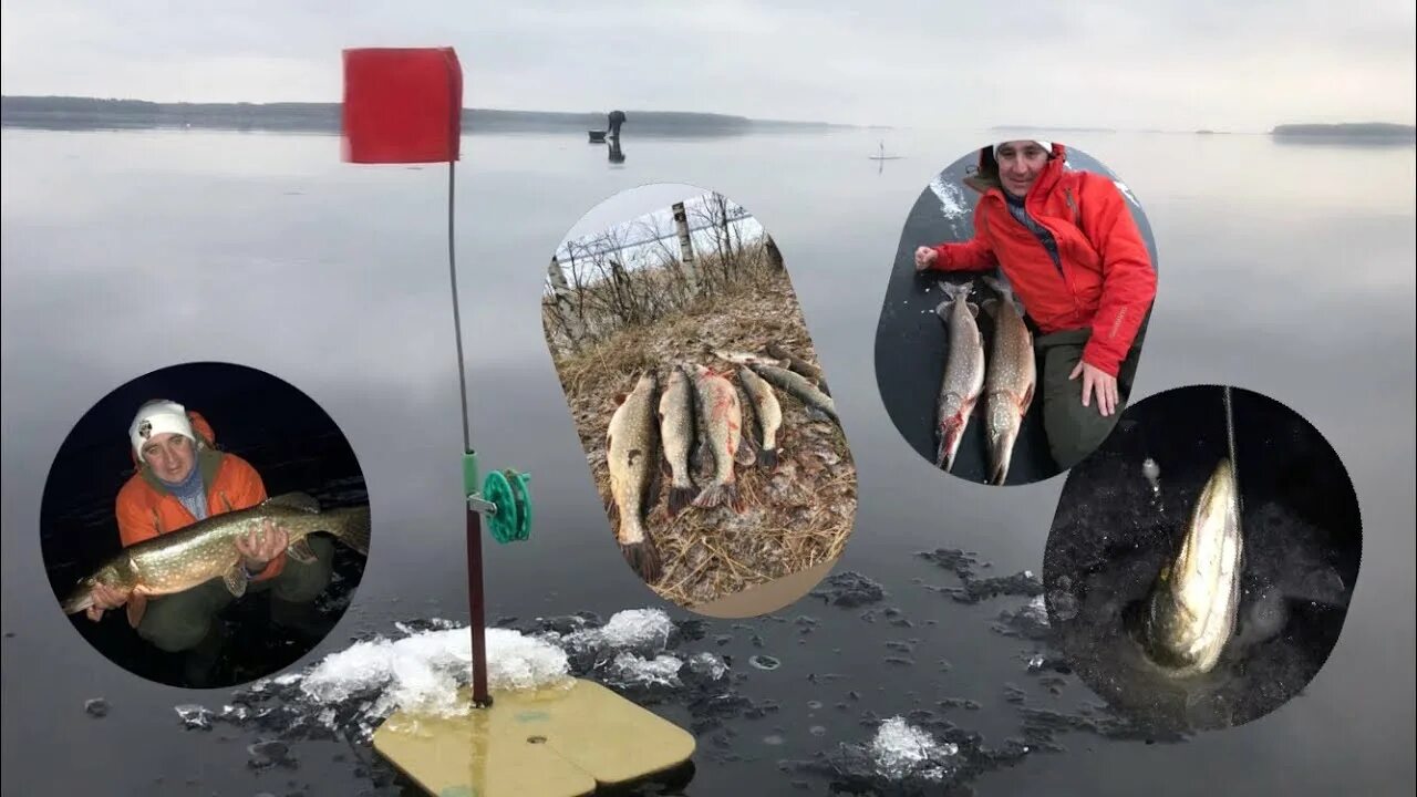 Острова трясье рыбинское водохранилище. Остров ваганиха рыбинское водохранилище. Плотва на рыбинском водохранилище. Рыболовная база черкасово. База заповедный край на рыбинском водохранилище.