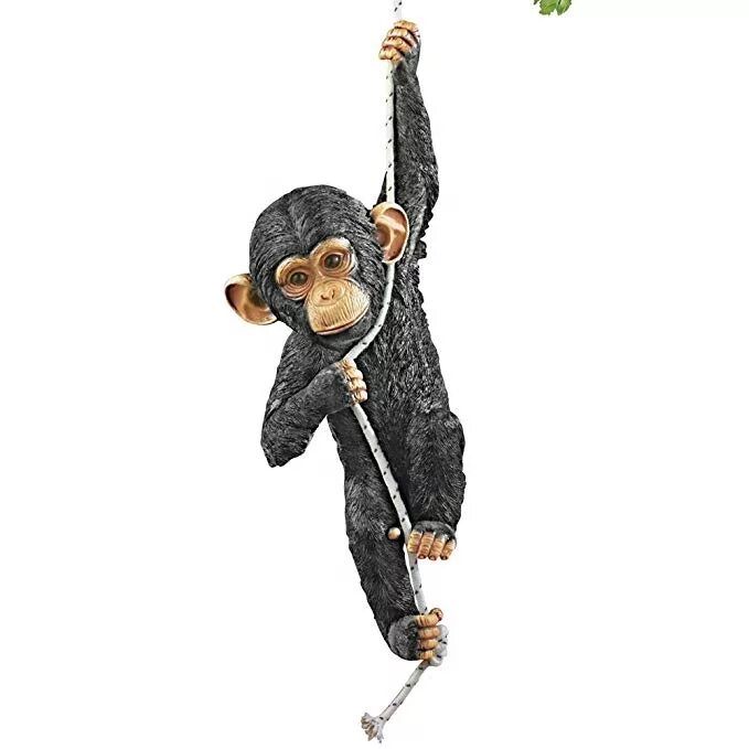 Monkey calling