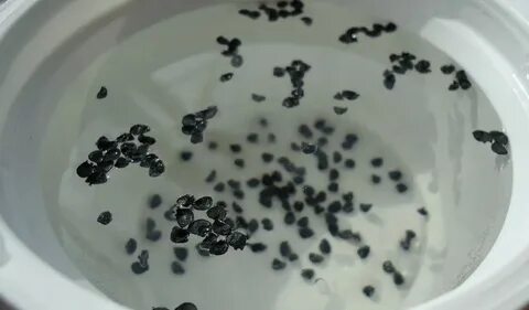 Почему всплывают семена