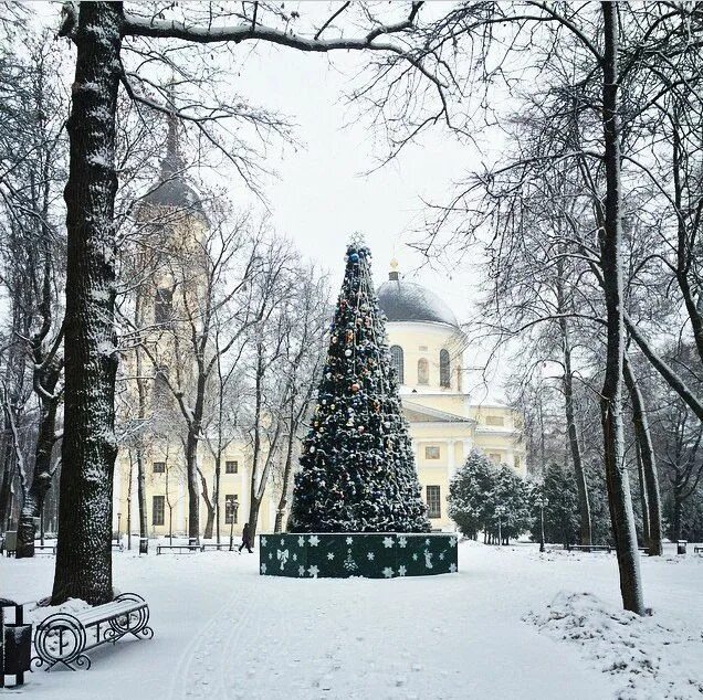 калуга парк зимой. зимняя ночная калуга. куда сходить в калуге зимой. зимняя калуга. калуга театральная площадь новый год.