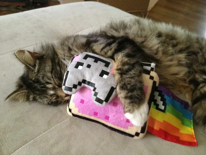 Фотка кэт нет. Ням Кэт. Nyan Cat мягкая игрушка. Nyan Cat фото. Нян Кэт игрушка мягкая.