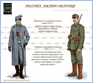 Причины австро венгрии в первой мировой