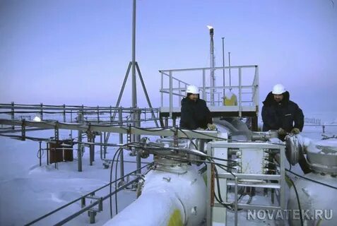 береговое месторождение новатэк