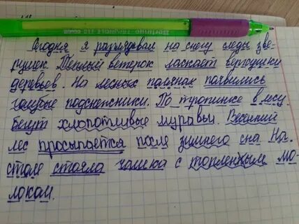 Полянку синтаксический разбор