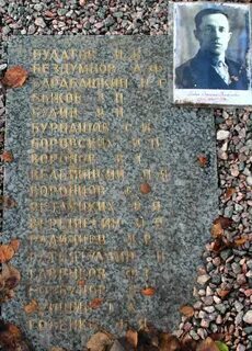 Старая русса дубовицы
