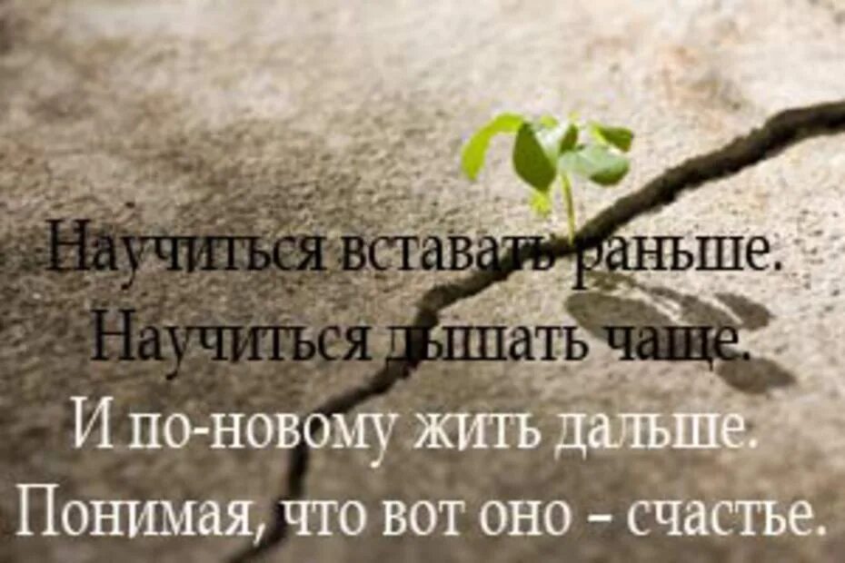 Начинаю новую жизнь. Новая работа новая жизнь. Логотип взгляни по новому. Новый жизненный год. Новая жизнь.