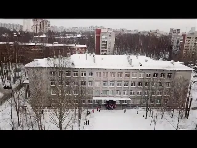 517 школа выборгского. 517 школа выборгского. Гимназия 52 спб. Школа 517 учителя. Школа 517.