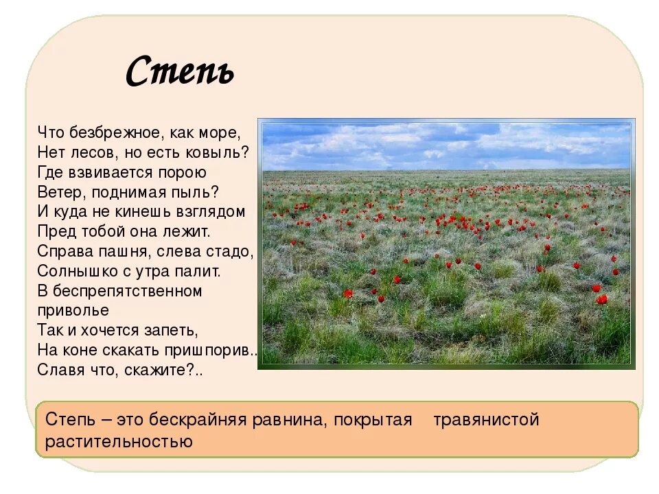 Тюльпан где растет природная зона. Растительность степи. Растения сообщества степь. Животные и растительность степи. Доклад про степь.