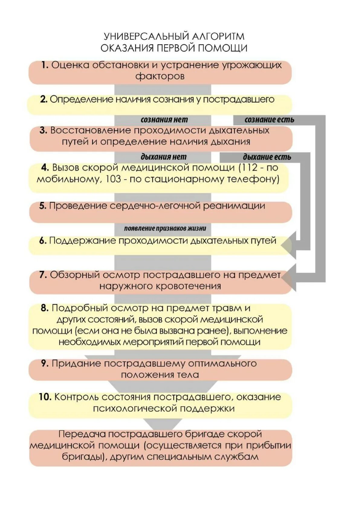 Универсальный алгоритм оказания помощи