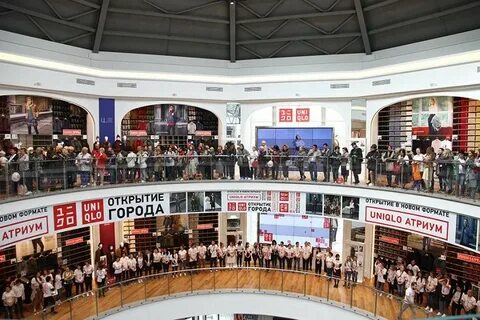 Тц на курской магазины