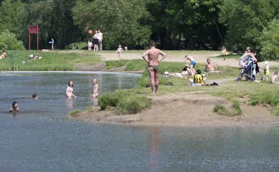 Нижнеисетский пруд Екатеринбург пляж. Купание в пруду. Купаются в пруду. Загорали на пруду. Надо искупаться