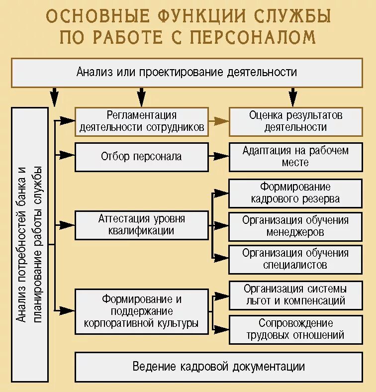 Функции кадровых служб организаций