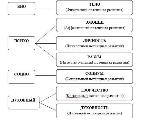 Био. Понятие о биогельминтах и геогельминтах. Био психо социо духовная. Био-психо-социо-духовная модель химической зависимости. Bio? что означает.