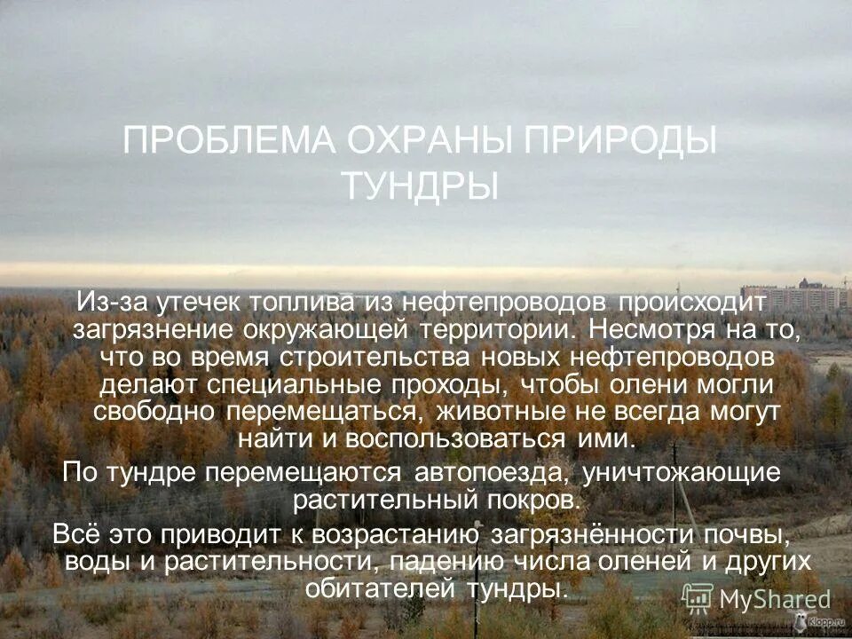 экологические проблемы тундры. проблемы охраны природной зоны тундры. проблемы экологии в тундре. экологические проблемы и охрана природы тундры. проблемы охраны природной зоны тундры.