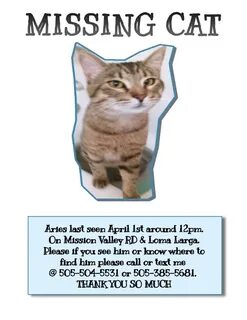 Miss me cat