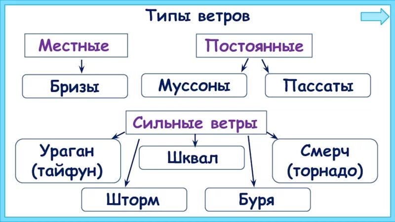 Какие существуют ветры. Виды ветров схема. Виды ветров и их характеристика. Ветры и их виды. Виды местных ветров.