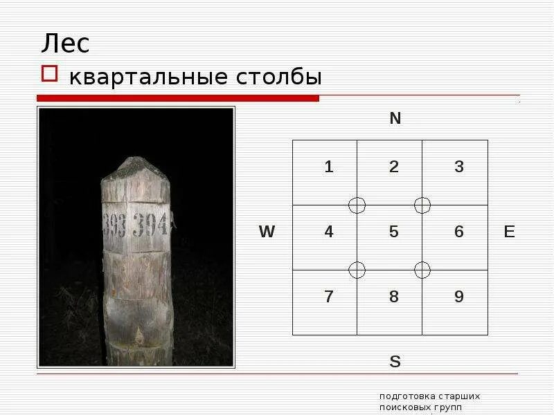 В каком направлении нумеруются квартальные столбы. Квартальный столб. лесные квартальные столбы. квартальный столбик. как ориентироваться по квартальным столбам в лесу.