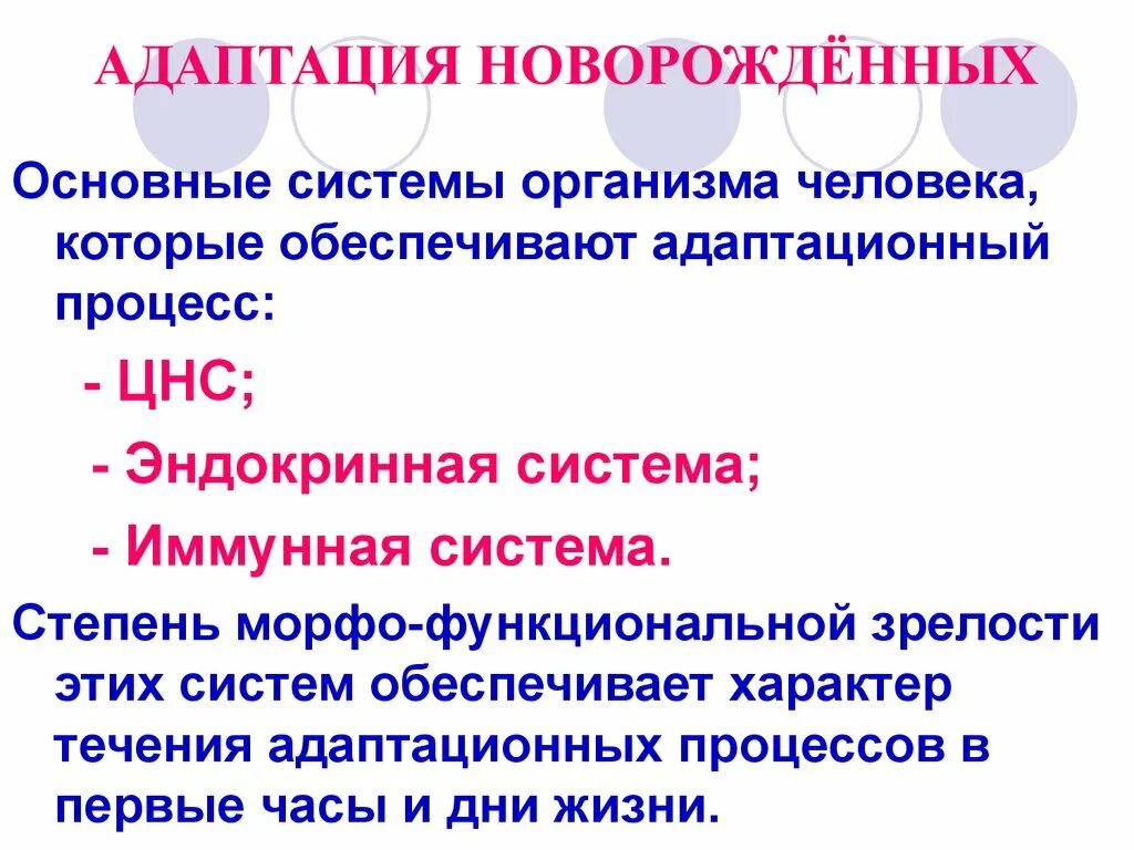 16 адаптированных