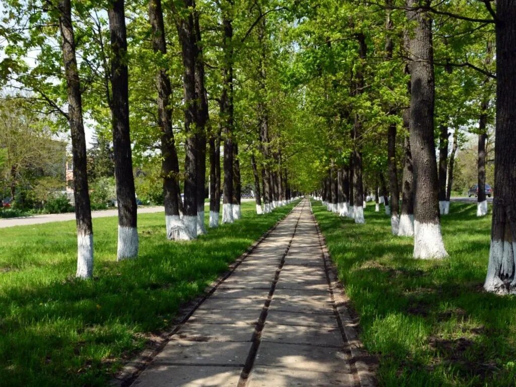 Погода поселок октябрьский ленинградского района краснодарского. Посёлок Октябрьский Краснодарский край. Октябрьский Ленинградский район Краснодарский край. Поселок Октябрьский станица Ленинградская. Октябрьский Красноармейский район.