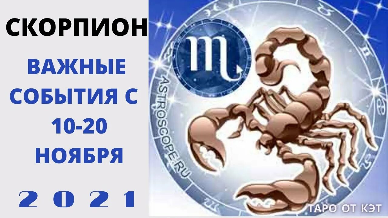 Гороскоп скорпионы 2023 год. Скорпион стихия. Стихия скорпиона по гороскопу. Скорпион 2023. 2023 Год для скорпиона.