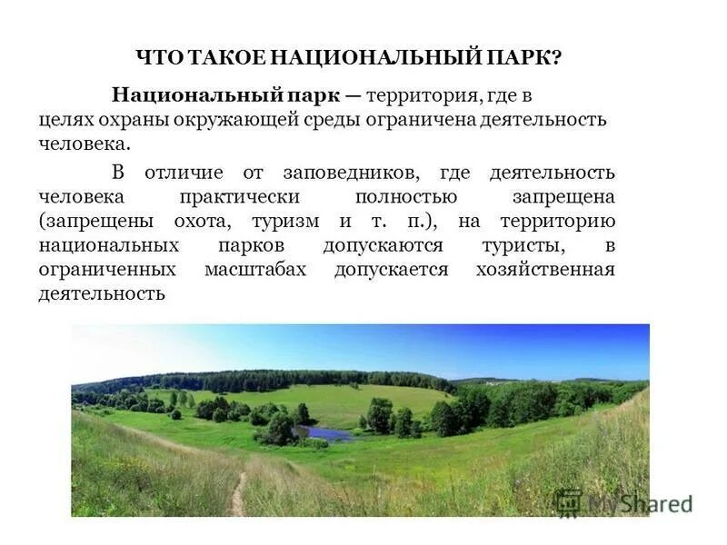 Исследование национальных парков. Национальные парки это определение. Национальные парки презентация. Заповедники и национальные парки России. Национальные природные парки это определение.