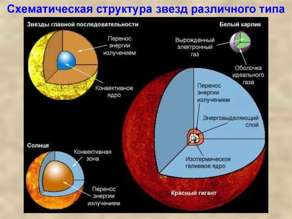 Строение звезды солнца. Внутреннее строение звезд астрономия. Внутреннее строение звезд состав. Внутреннее строение звезды и ядра. Схематическая структура звезд разного типа.