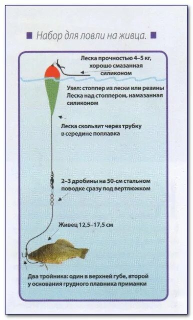 Ловля на живца на поплавочную удочку. Поплавочная снасть на окуня на живца. Оснащение удочки для ловли щуки на живца с поплавком. Поплавочная снасть на щуку на живца. Оснащение поплавочной удочки на окуня.