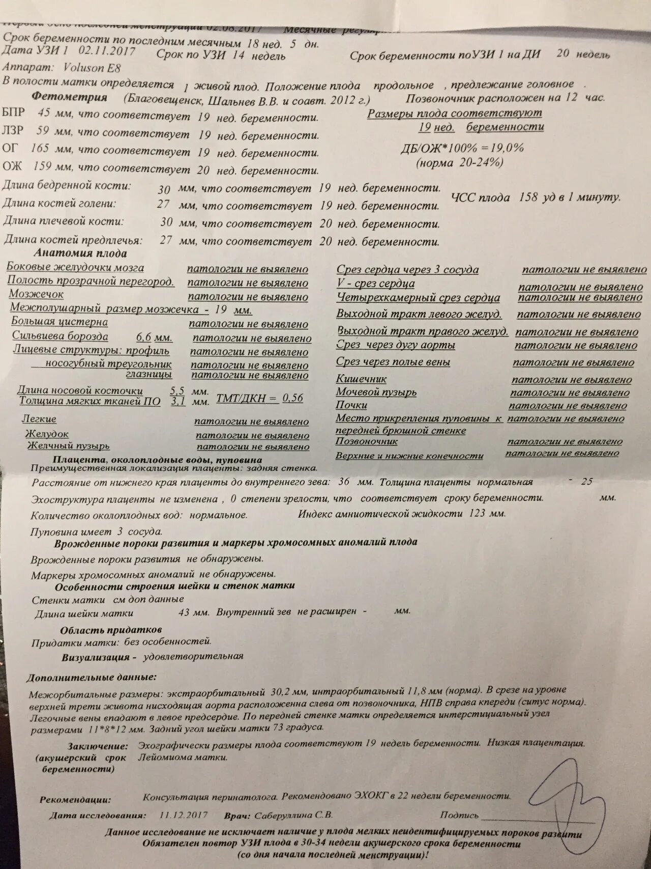 Размеры плода по неделям УЗИ. УЗИ 3 триместр фетометрия. Размеры плода 2 скрининг. Нормы плода 19 недель