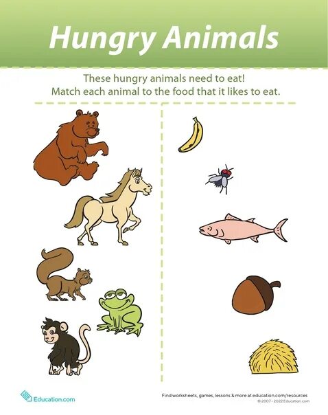 Do they like animals. Задания по английскому животные. Игры животные английский для дошкольников. What animals eat for Kids. What do animals like to eat Worksheet.