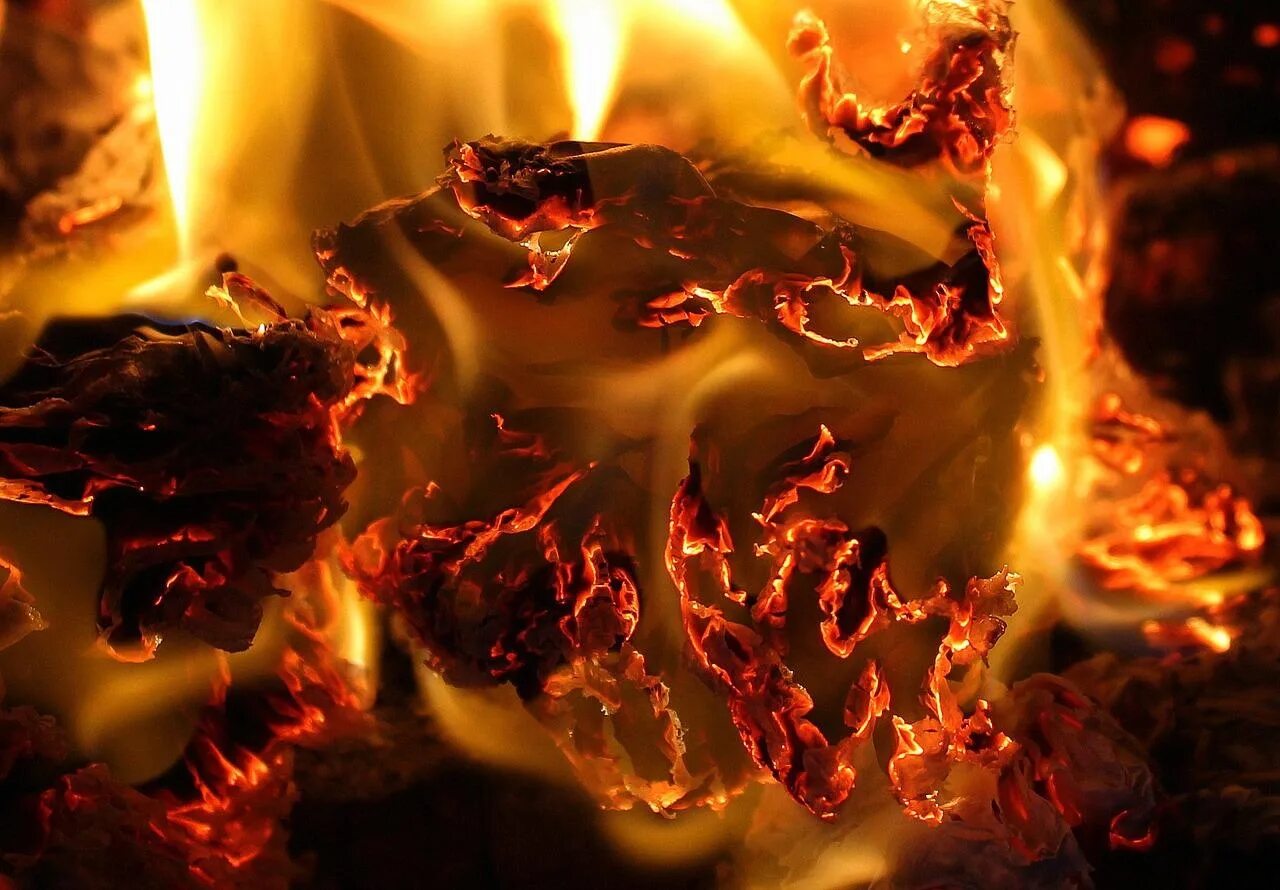 частицы огня. отблески пламени на пожаре. черно оранжевый фон. эффект искр для фотошопа. пылающий огонь.