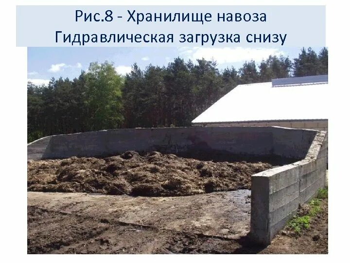 Площадка для навоза. Хранилище навоза. площадка для хранения навоза. хранилище подстилочного навоза. бетонная площадка для хранения навоза.