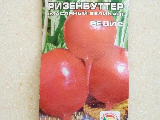 Лучший редис для теплицы. Лучший редис для теплицы